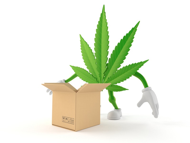 iStock-956265872.jpg